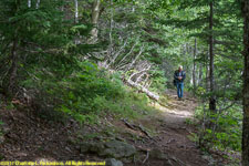 Paul on trail